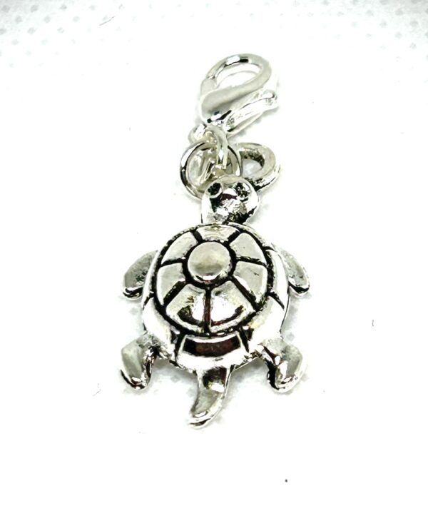 Charm uts 3-D sea Turtle