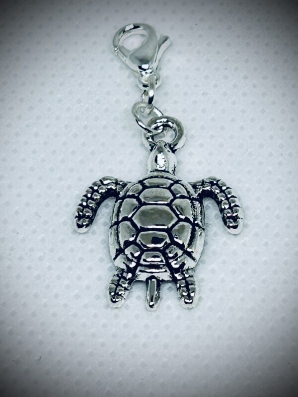 Charm Sea Turtle med