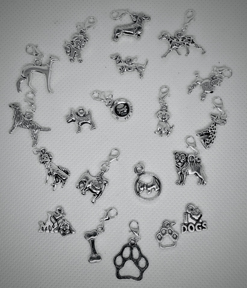 Paw Charm Collection