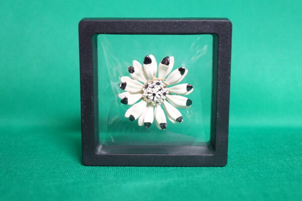 Framed Vintage Enamel Flower Brooch