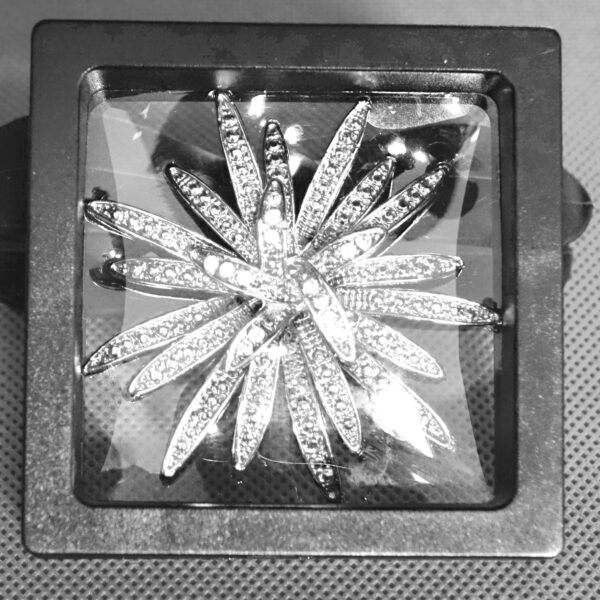 Framed Vntg. Starburst Brooch